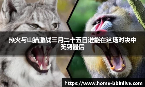 热火与山猫激战三月二十五日谁能在这场对决中笑到最后